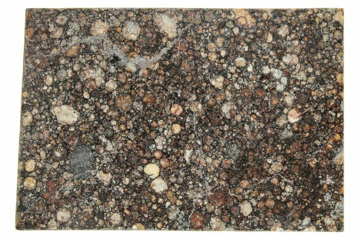 LL Chondrite Meteorite ( g) Slice - NWA #291400